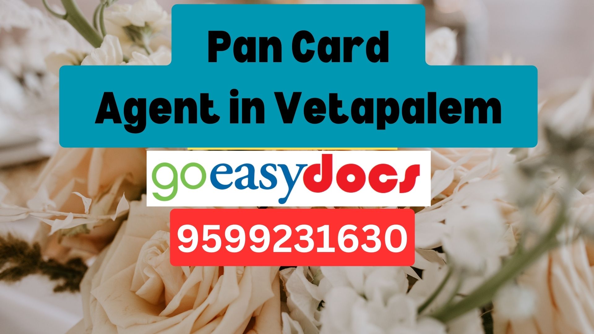 Pan Card Agent Consultant in Vetapalem 8851415812