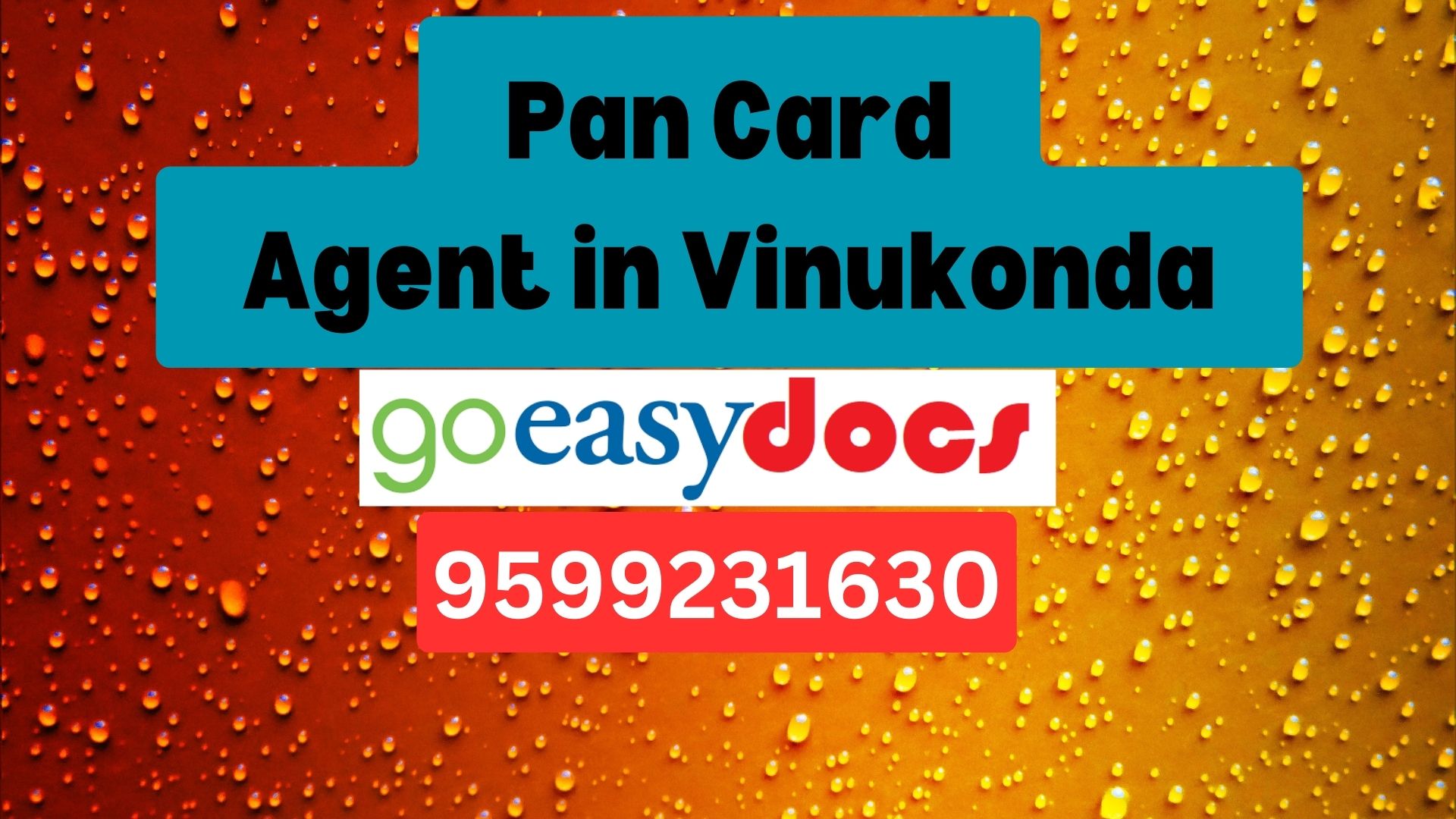 Pan Card Agent Consultant in Vinukonda 8851415812