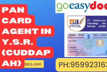 Pan Card Agent Consultant in Y.S.R. (Cuddapah) 8851415812