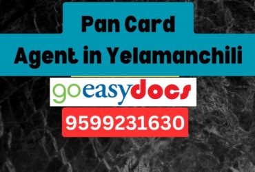 Pan Card Agent Consultant in Yelamanchili 8851415812