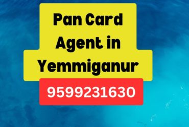 Pan Card Agent Consultant in Yemmiganur 8851415812