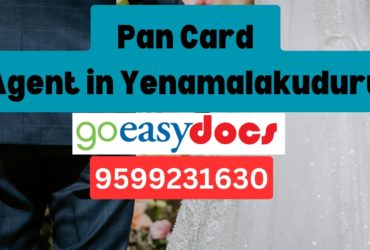 Pan Card Agent Consultant in Yenamalakuduru 8851415812