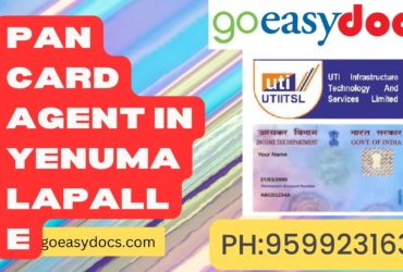 Pan Card Agent Consultant in Yenumalapalle 8851415812