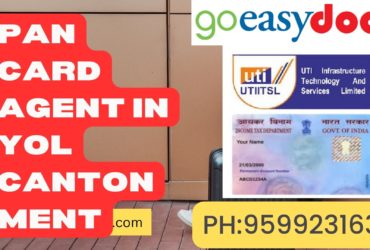 Pan Card Agent Consultant in Yol Cantonment 8851415812