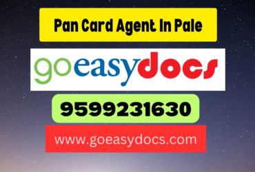 Pan Card Agent Consultant in Pale 8851415812