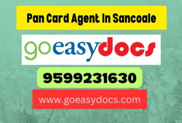 Pan Card Agent Consultant in Sancoale 8851415812