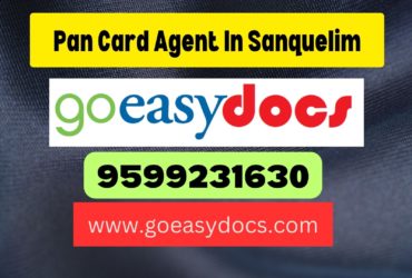 Pan Card Agent Consultant in Sanquelim 8851415812