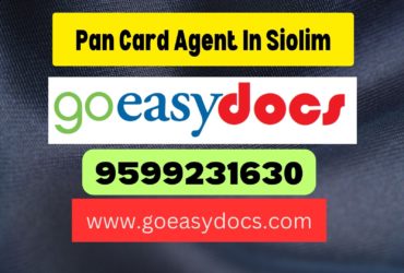 Pan Card Agent Consultant in Siolim 8851415812