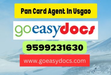 Pan Card Agent Consultant in Usgao 8851415812