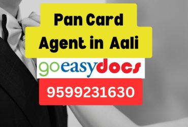 Pan Card Agent Consultant in Aali 8851415812