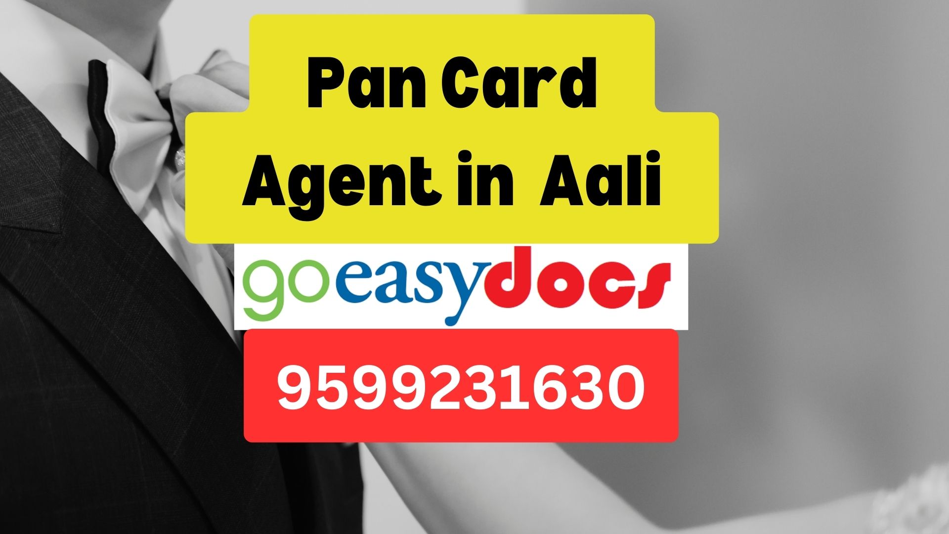 Pan Card Agent Consultant in Aali 8851415812