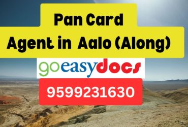 Pan Card Agent Consultant in Aalo (Along)  8851415812