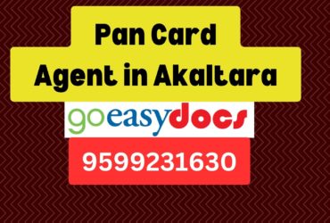 Pan Card Agent Consultant in Akaltara 8851415812