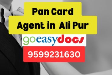 Pan Card Agent Consultant in Ali Pur 8851415812