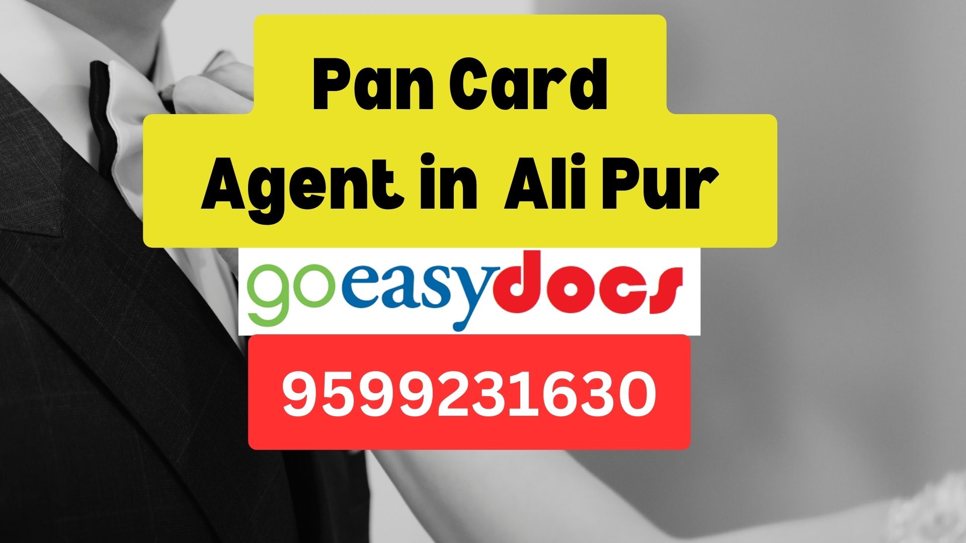 Pan Card Agent Consultant in Ali Pur 8851415812