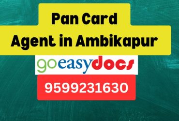 Pan Card Agent Consultant in Ambikapur 8851415812