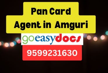 Pan Card Agent Consultant in Amguri  8851415812