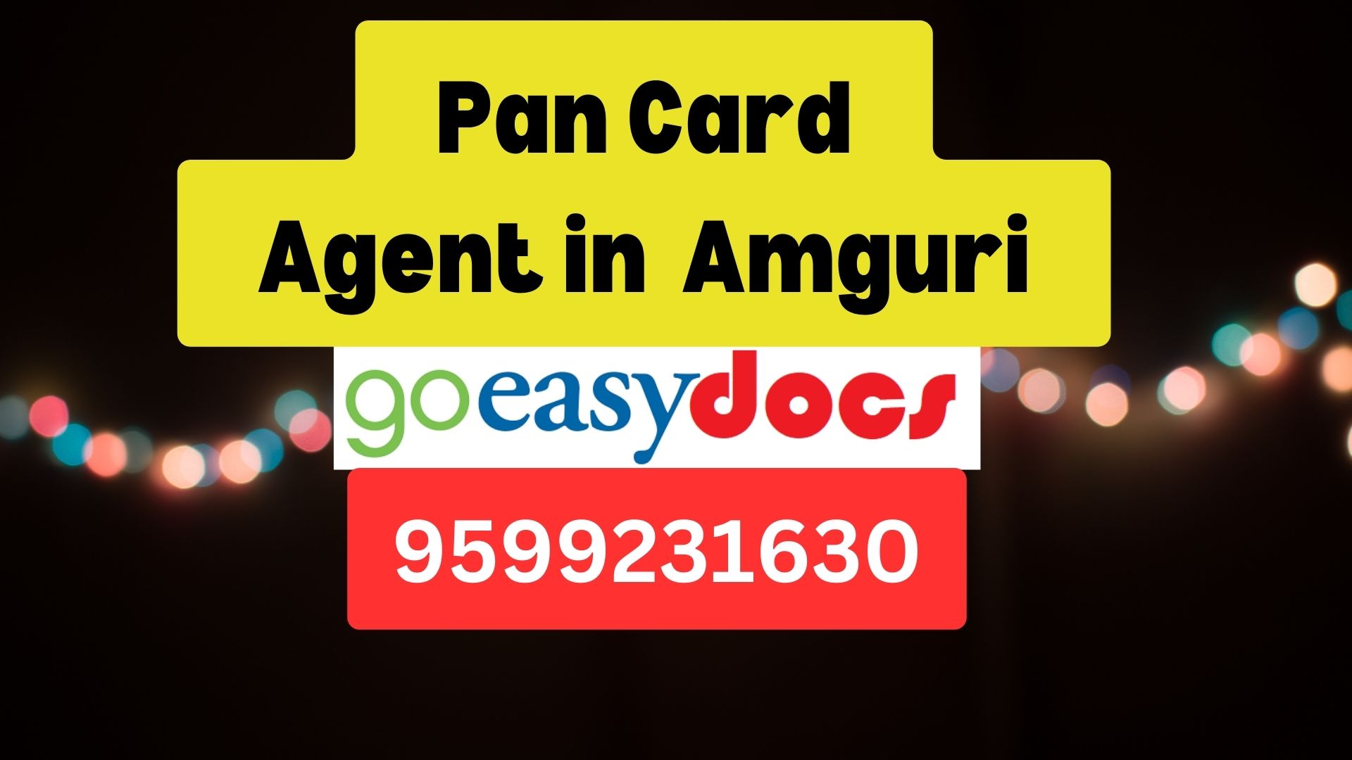 Pan Card Agent Consultant in Amguri  8851415812