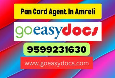 Pan Card Agent Consultant in Amreli 8851415812