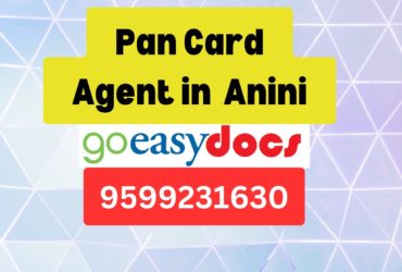 Pan Card Agent Consultant in Anini  8851415812