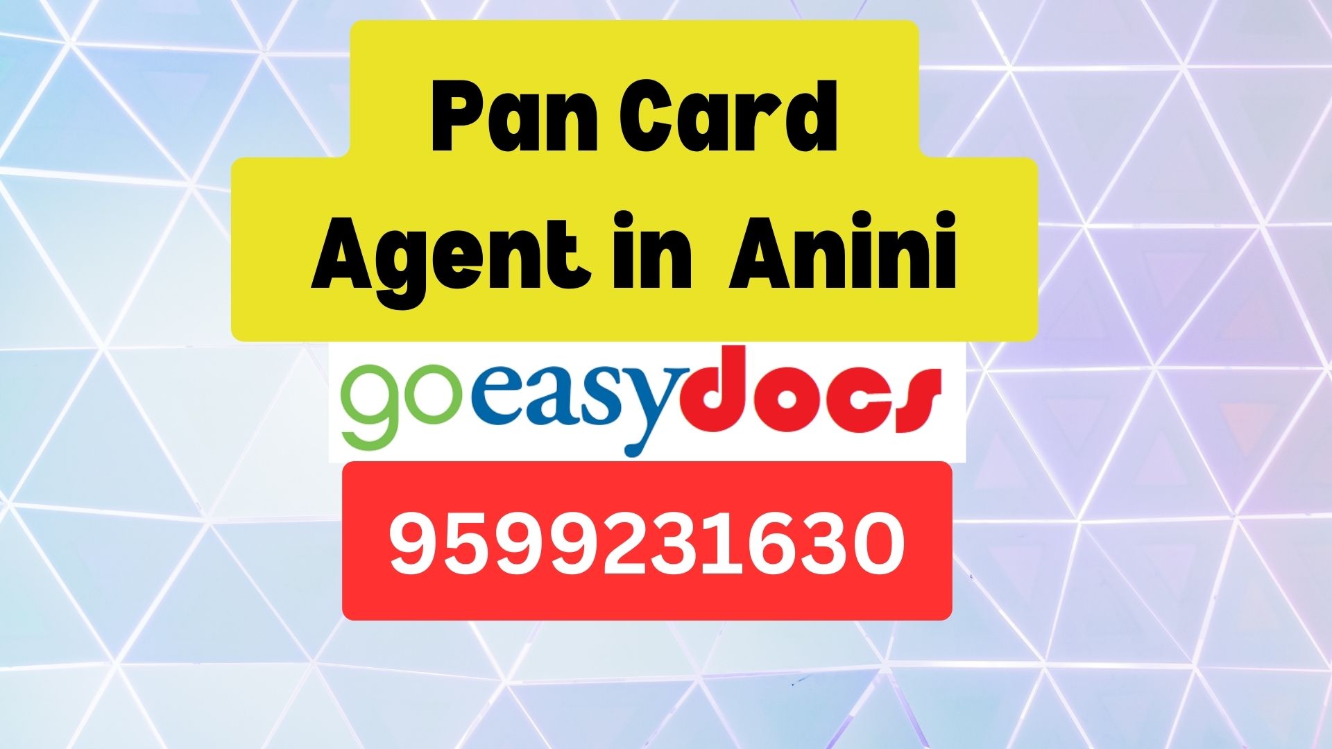 Pan Card Agent Consultant in Anini  8851415812
