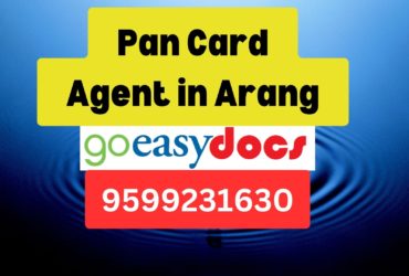 Pan Card Agent Consultant in Arang 8851415812