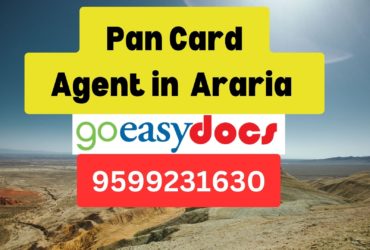 Pan Card Agent Consultant in Araria  8851415812