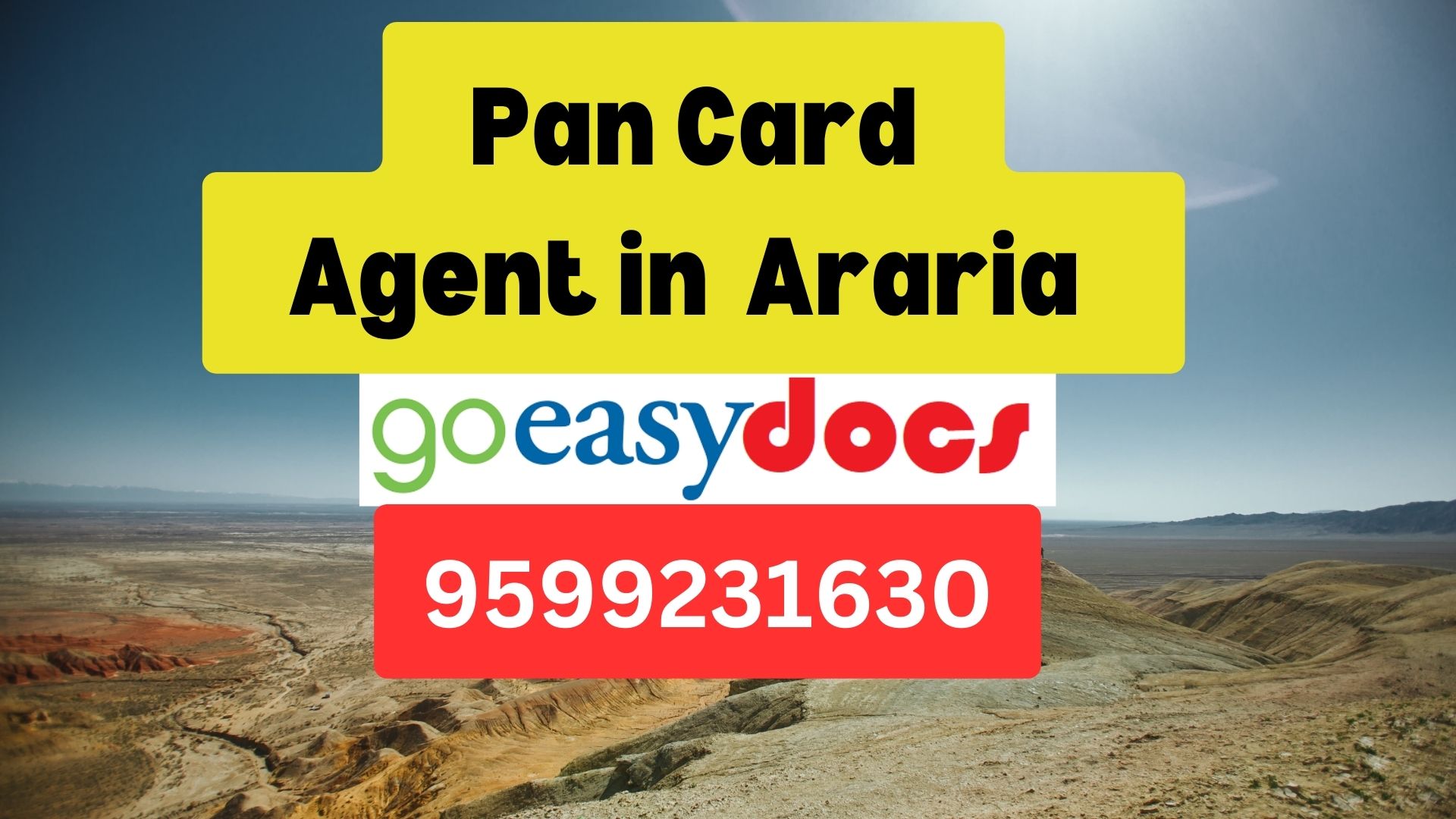 Pan Card Agent Consultant in Araria  8851415812