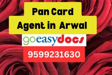 Pan Card Agent Consultant in Arwalr  8851415812