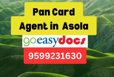 Pan Card Agent Consultant in Asola 8851415812