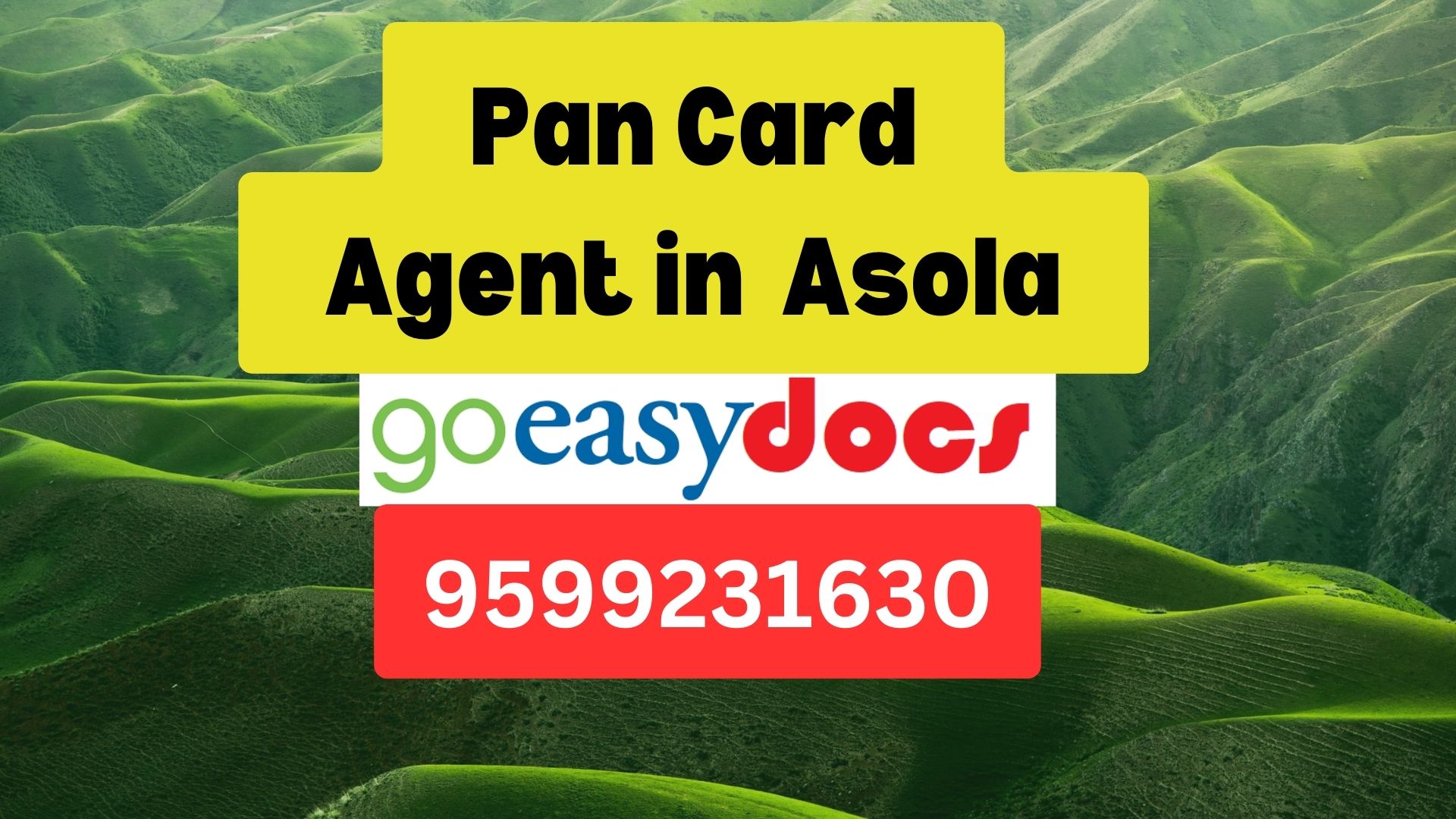 Pan Card Agent Consultant in Asola 8851415812