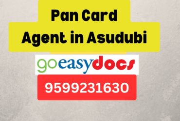 Pan Card Agent Consultant in Asudubi  8851415812