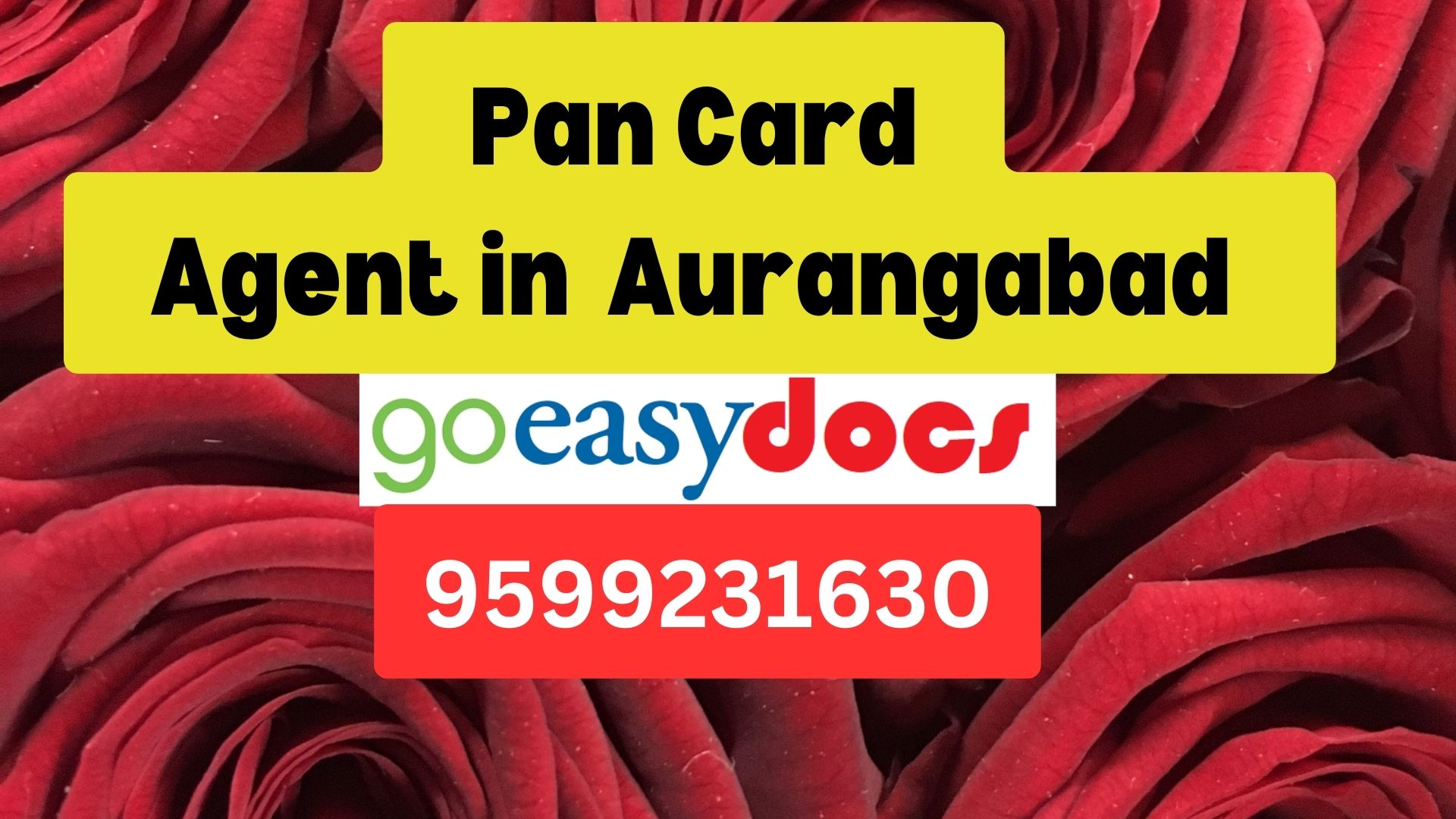 Pan Card Agent Consultant in Aurangabad   8851415812