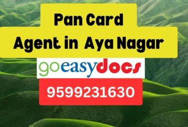 Pan Card Agent Consultant in Aya Nagar 8851415812