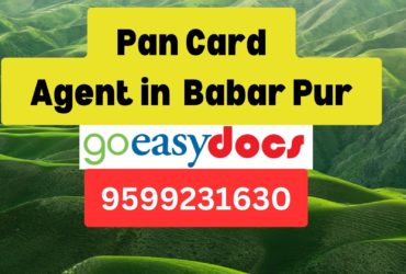 Pan Card Agent Consultant in Babar Pur 8851415812