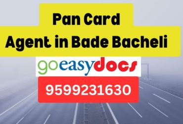 Pan Card Agent Consultant in Bade Bacheli 8851415812