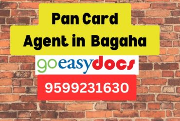 Pan Card Agent Consultant in Bagaha  8851415812