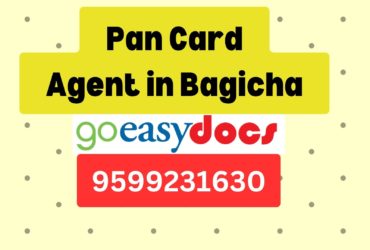 Pan Card Agent Consultant in Bagicha 8851415812