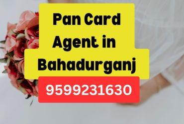 Pan Card Agent Consultant in Bahadurganj  8851415812