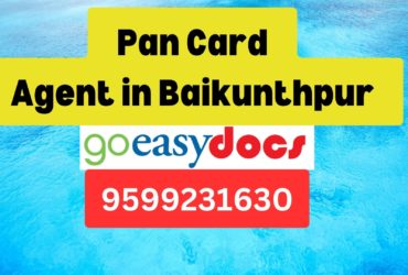 Pan Card Agent Consultant in Baikunthpur 8851415812