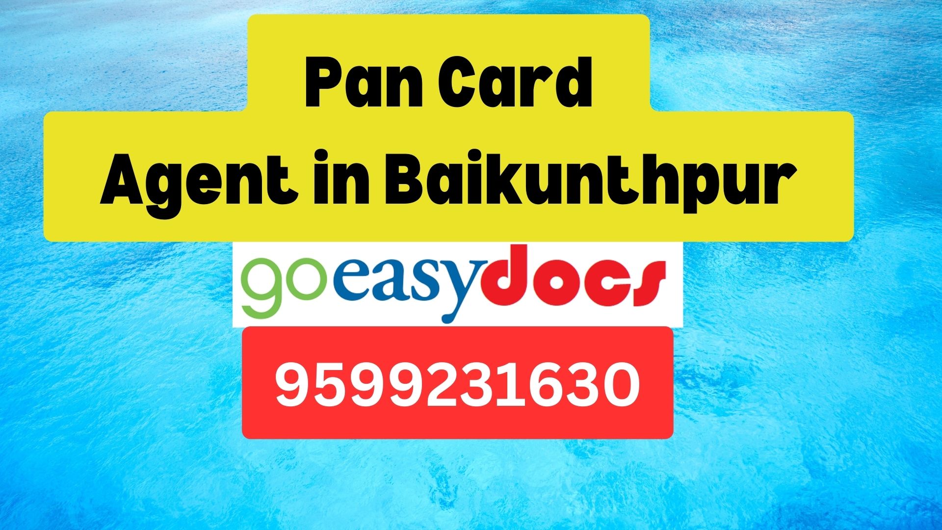 Pan Card Agent Consultant in Baikunthpur 8851415812