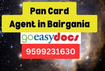 Pan Card Agent Consultant in Bairgania 8851415812