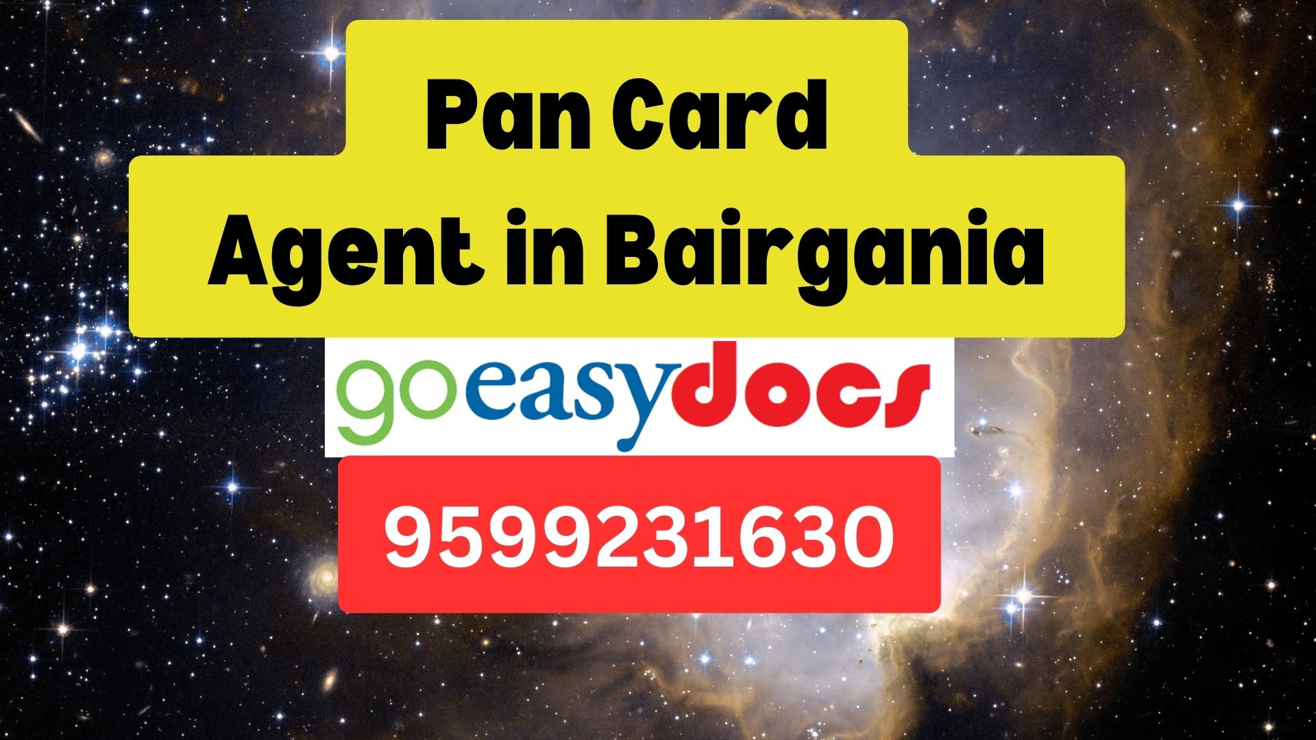 Pan Card Agent Consultant in Bairgania 8851415812