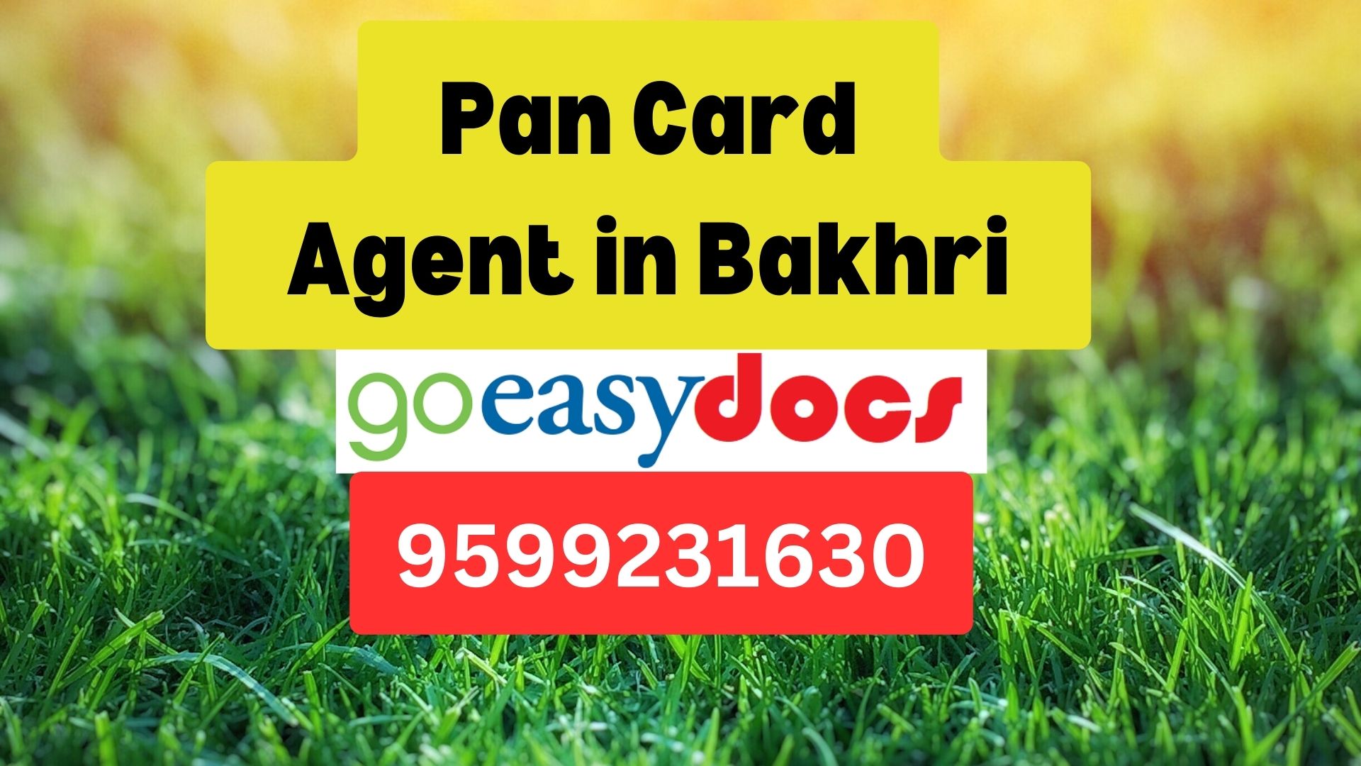 Pan Card Agent Consultant in Bakhri  8851415812