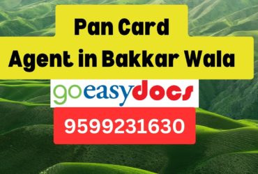 Pan Card Agent Consultant in Bakkar Wala 8851415812