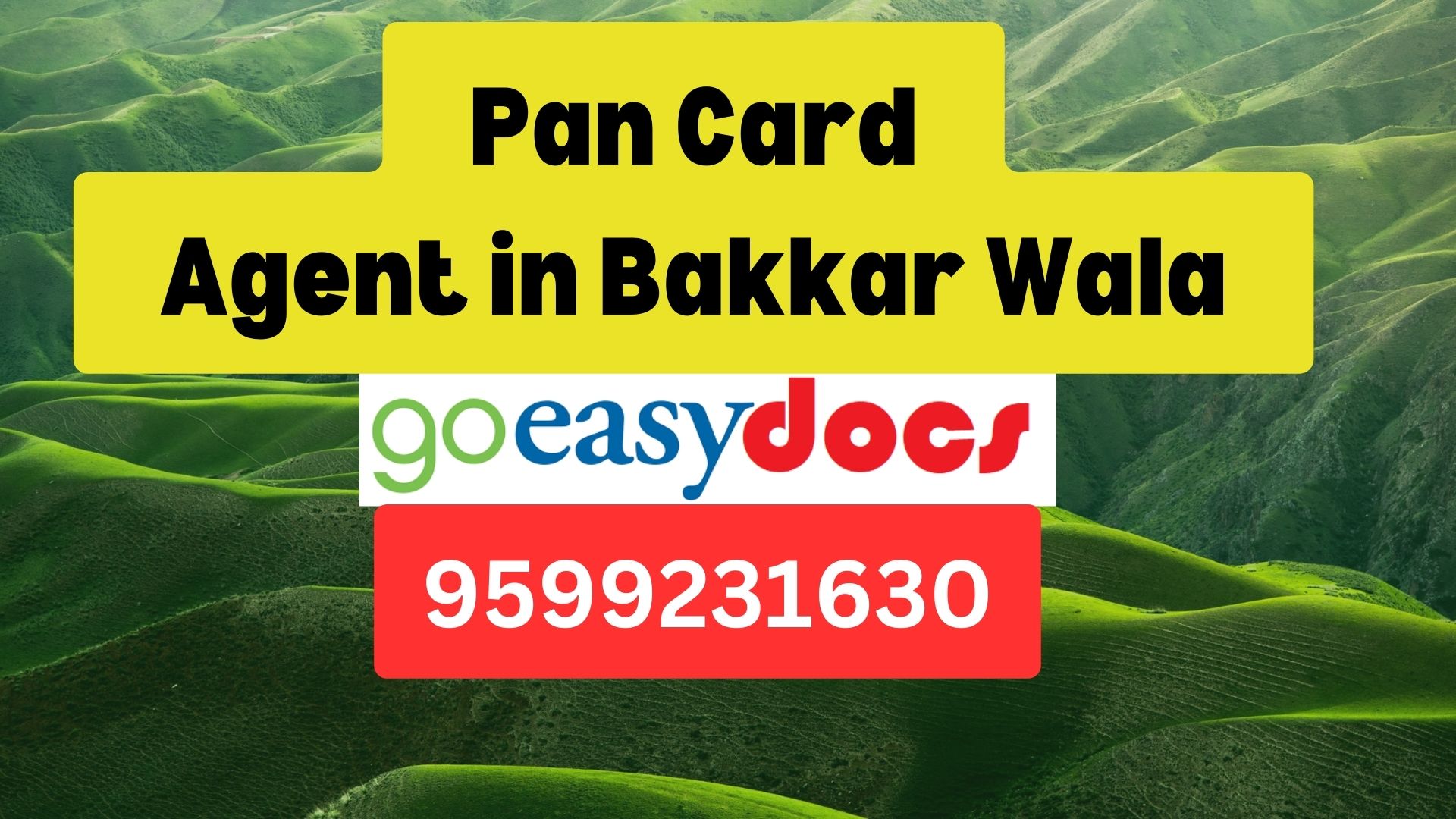 Pan Card Agent Consultant in Bakkar Wala 8851415812