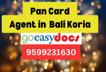 Pan Card Agent Consultant in Bali Koria  8851415812