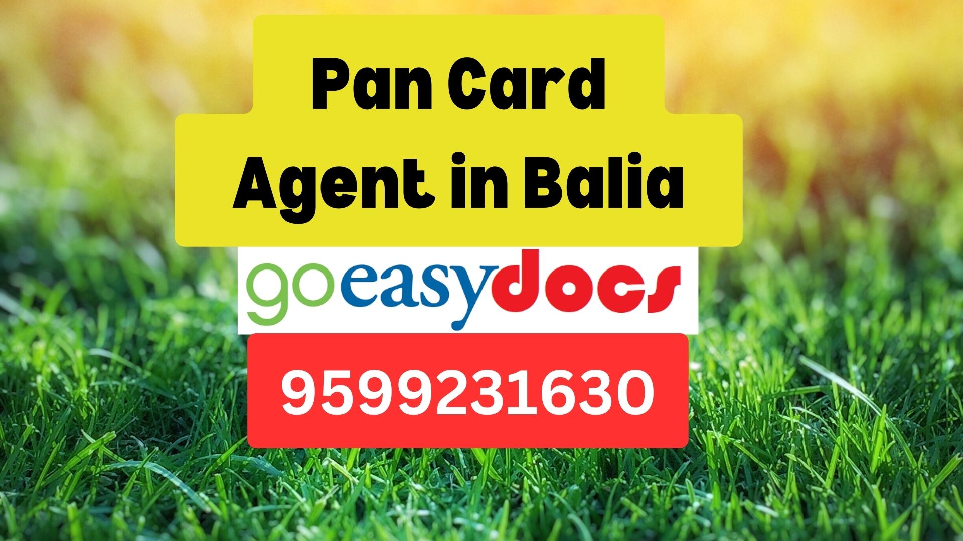 Pan Card Agent Consultant in Balia  8851415812
