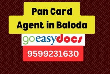 Pan Card Agent Consultant in Baloda 8851415812