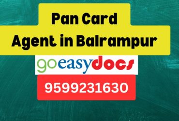 Pan Card Agent Consultant in Balrampur 8851415812